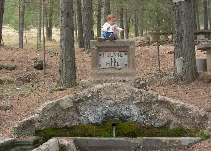 Turisticos Rosario *